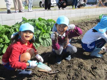 5歳児が掘った芋を持っている様子