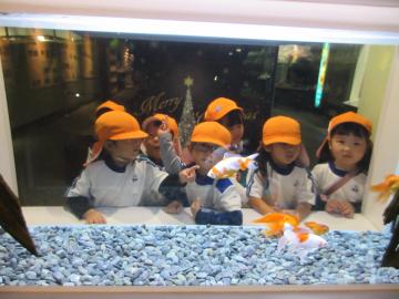 水族館で水槽のなかの魚を見る園児たちの様子