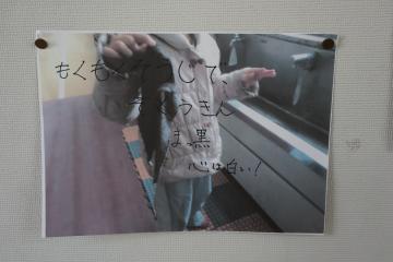 掲示した写真の中の1枚の写真