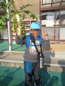 植木鉢から抜いた大根を持って記念撮影をしている