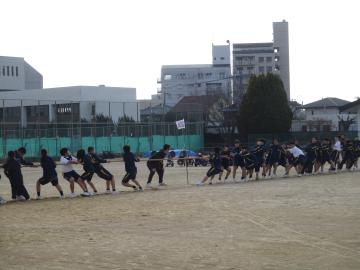 生徒が綱引きをする様子