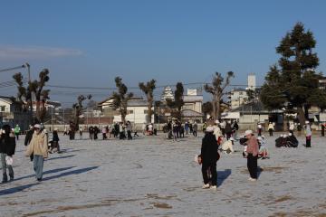 雪の運動場と、お城も見えている写真