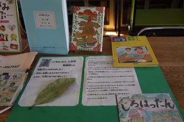 図書室にあるじろはったんの写真