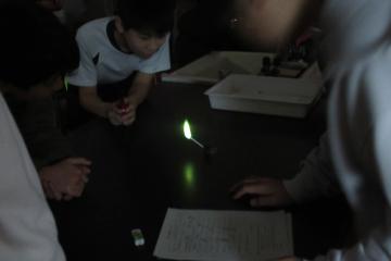 教室内を暗くし、班ごとに炎色反応の実験をしている6年生の児童たちの様子