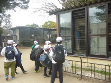 4年生の児童が遠足でやって来た動物園で、動物を見ている様子