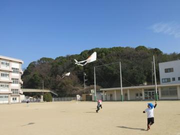 小学校の校庭で凧揚げをしている園児たちの様子
