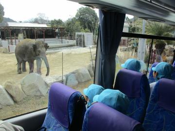 バスの窓からサファリパークの象を見る子供たち