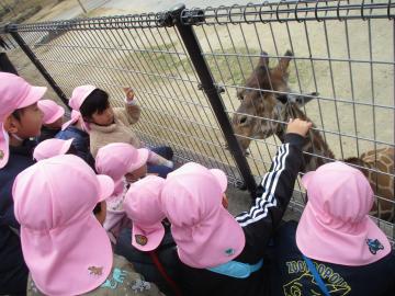 柵ごしのキリンを見たり触れようとしたりする子供たち