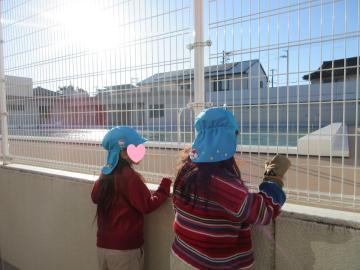 プールの氷を見ている園児たちの様子