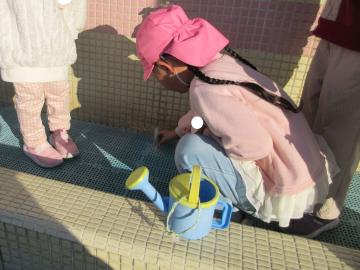 水道の氷を触ろうとしている園児の様子