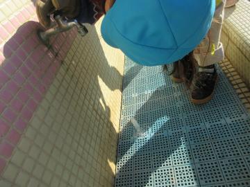 水道の氷を見ている園児の様子