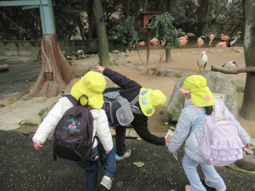 園内でフラミンゴの真似をして片足で立とうとする園児たちの様子