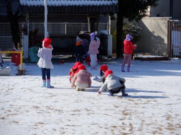 雪が降った園庭で雪を集める幼児