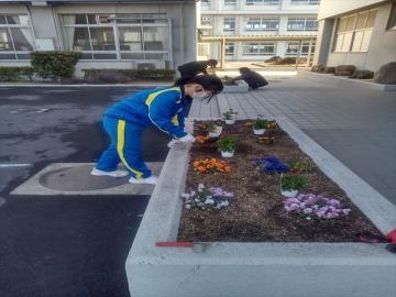 体育館前に花を植える2年生生徒