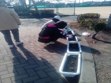 プランターに花を植える保護者の様子