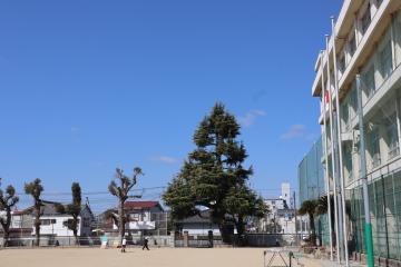 運動場に半旗を掲げている写真