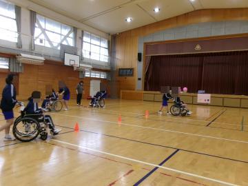 体育館で、車椅子体験の講座実技を行っている生徒たちの様子