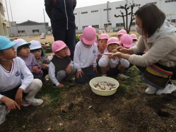 畑で教師が子供たちに手のひらにのせた種イモを見せている