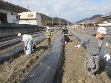 植え付け作業をしている様子