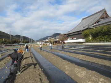 鍬使って畑の作業をする様子