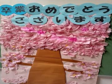 「卒業おめでとうございます」の桜の掲示物