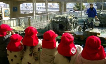 水族館内で3歳児たちがペンギンのエサやりの様子を見ている様子