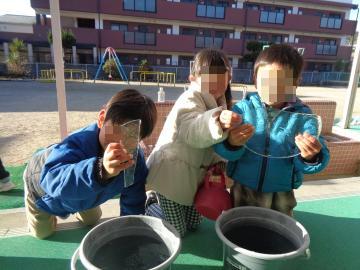 園庭に置いていたバケツの中に氷が張っていて園児が触っている