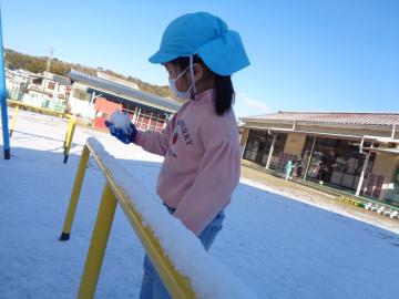 雪が積もったので園児が雪を触っている