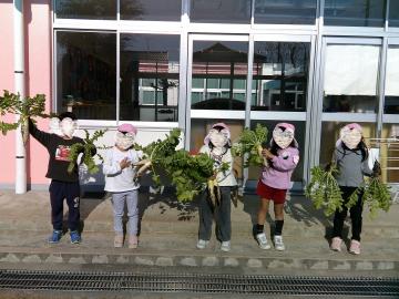 5歳児が幼稚園の玄関前で大根をもって記念撮影をしたようす