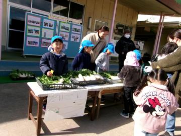5歳児が園庭でダイコンを売っているところ