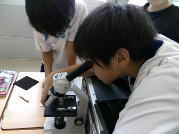 顕微鏡をのぞく児童の様子