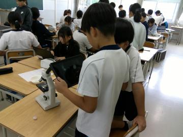 顕微鏡の写真を撮る児童の様子