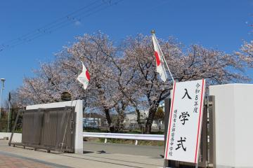 校門と桜と入学式の看板