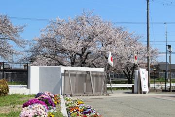 花と桜と校門