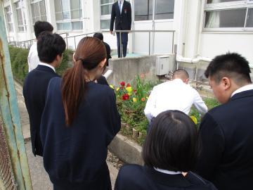 畑作業を行う生徒たちの様子