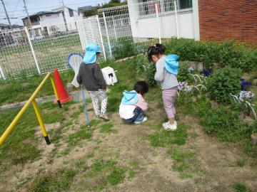 5歳児が虫捕りをしている様子