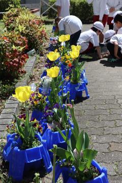 生き物を探している子どもたちの写真