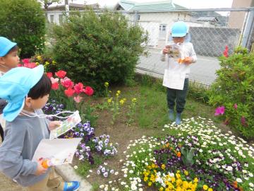 園内の花壇周辺で虫眼鏡で昆虫を探す園児たちの様子