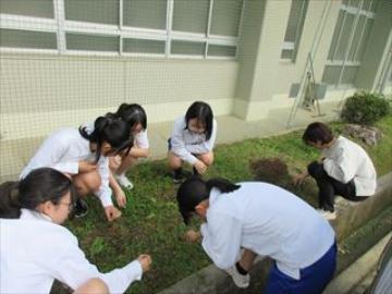 花壇の雑草を抜く生徒たちの様子