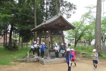 3年生が神社の手水舎を観察している様子