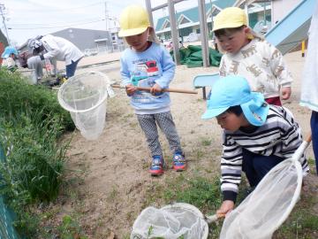 網を持って草の上の虫を捕らえる子供たち
