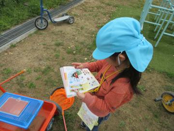 名前のわからない花を図鑑で調べている様子