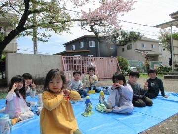 幼稚園の桜の木の下でみんなでお弁当を食べている様子