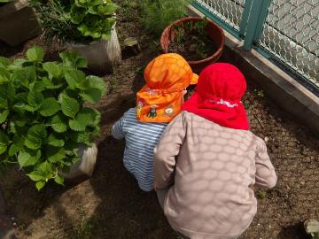花壇でダンゴムシを集めている園児たちの後ろ姿
