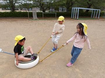 幼児がタイヤの上に乗り、他児が引っ張る様子