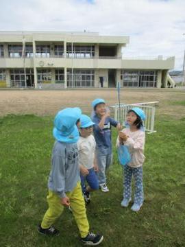 テントウムシが棒を登り飛んでいく様子を見ている園児たちの様子