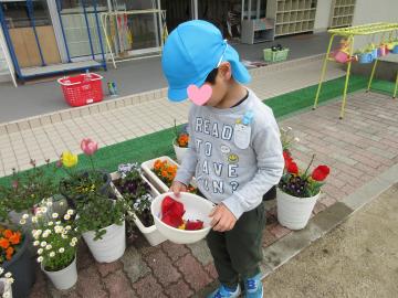 園庭で花を摘んでいる園児の様子