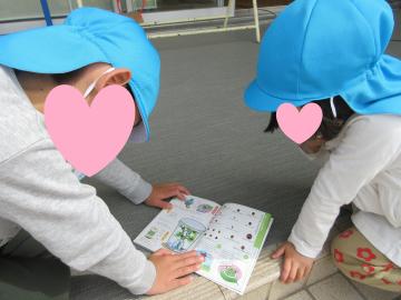 青い帽子をかぶった園児たちが屋外でしゃがんで図鑑を並べて見ている様子