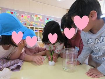 テーブルの上のチョウチョを興味深げに覗き込む数人の子どもたち