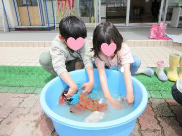 青いたらいの水に手を入れて洗濯する園児たちの様子